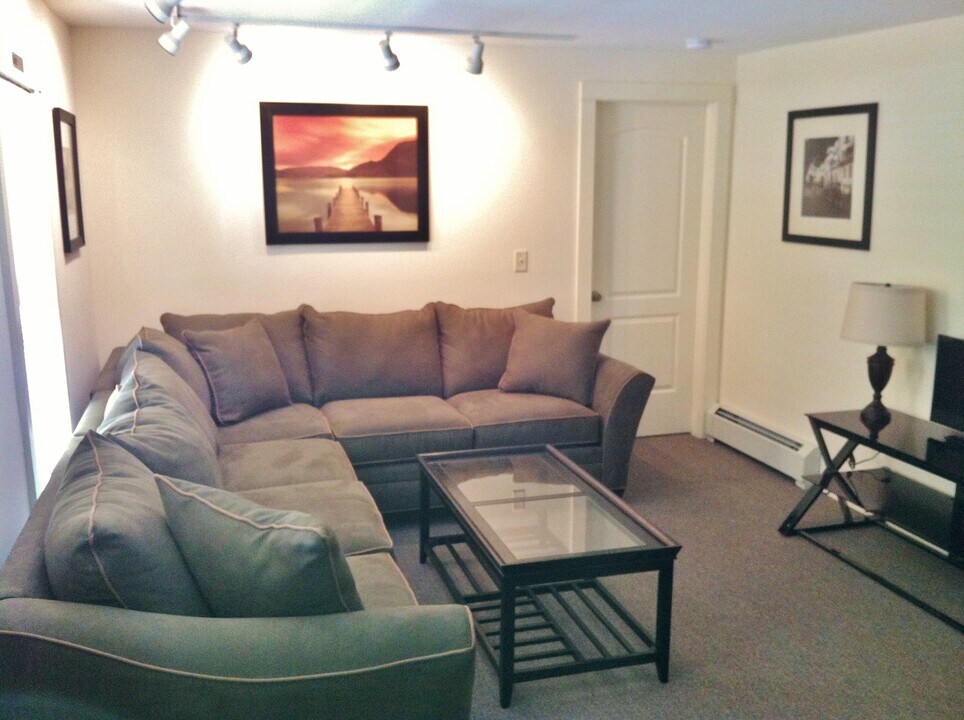 208 Williams St, Unit 3 in Ithaca, NY - Building Photo