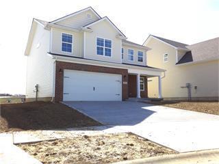 property at 2704 Hailey Rose Way