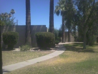 4351 N 36th Pl in Phoenix, AZ - Building Photo