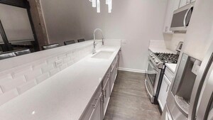 1069 W 14th Pl in Chicago, IL - Building Photo - Building Photo