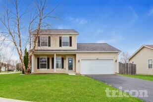 7217 Sutherland Ct in Plainfield, IL - Building Photo