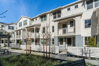 Oak Grove in Walnut Creek, CA - Foto de edificio - Building Photo