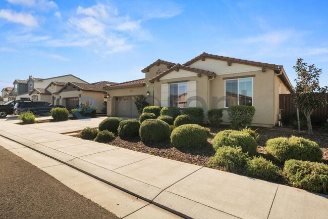 1465 Blossom Way in Dixon, CA - Foto de edificio - Building Photo