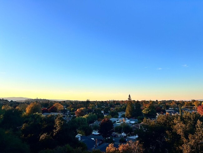 635 River View Dr in San Jose, CA - Foto de edificio - Building Photo