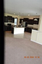 20509 Carolina Cherry Ct in Tampa, FL - Building Photo - Building Photo