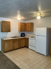 1016 1st Ave W in Newton, IA - Building Photo - Building Photo