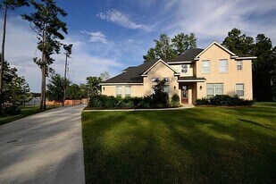 16804 Falcon Sound Dr in Montgomery, TX - Building Photo