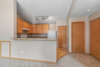 219 Silverstone Dr in Carpentersville, IL - Building Photo - Building Photo