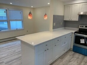 172 Charles St in Cambridge, MA - Building Photo - Building Photo