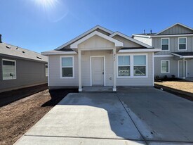 217 Pink Footed Pass in Uhland, TX - Building Photo