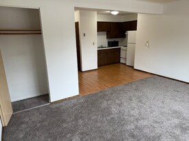 515 Elm St in Farmington, MN - Building Photo