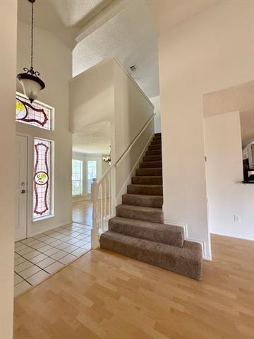 646 Autumn Oaks Dr in Allen, TX - Building Photo - Building Photo