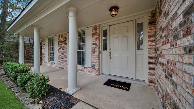 91 W Indian Sage Cir in Spring, TX - Building Photo - Building Photo