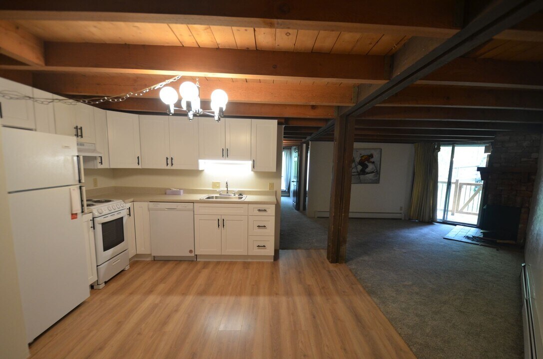 2300 Lodgepole Cir in Silverthorne, CO - Building Photo