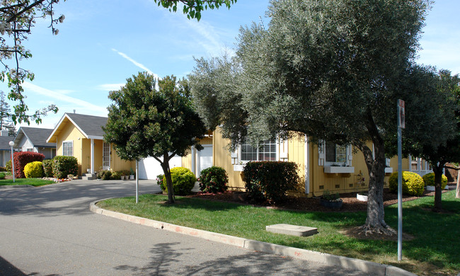 427-429 University St in Healdsburg, CA - Foto de edificio - Building Photo