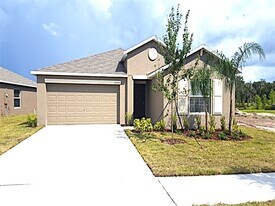 10604 Fuzzy Cattail St in Riverview, FL - Building Photo