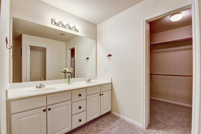 property at 3223 Zephyr Glen Way