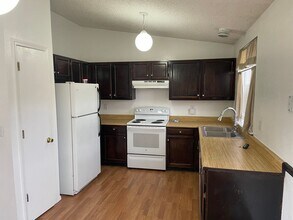 8421 Blazing Star Pl in Parker, CO - Building Photo - Building Photo