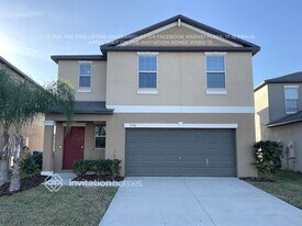 5140 White Chicory Dr in Apollo Beach, FL - Building Photo