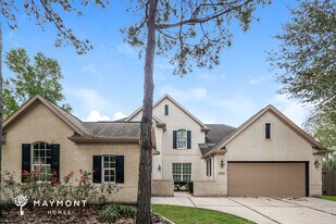 15719 White Summit Ct in Houston, TX - Building Photo