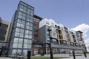 The Vista at the Heights