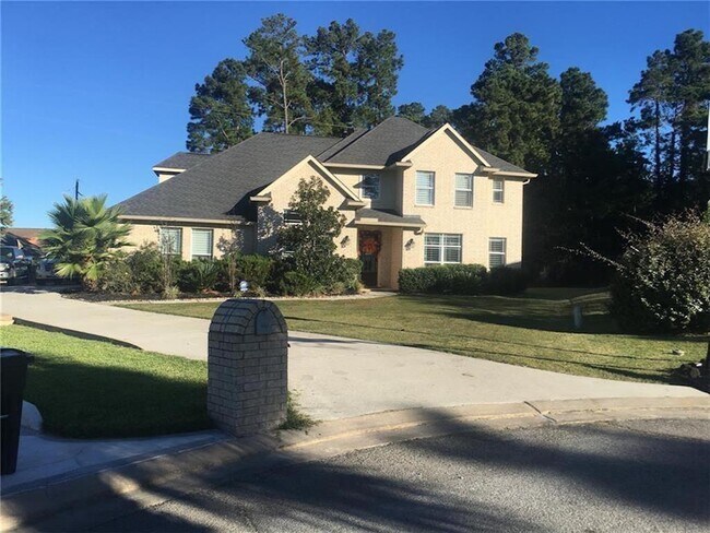 16804 Falcon Sound Dr in Montgomery, TX - Building Photo - Building Photo