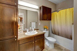 Dakota Commons Apartment Homes in Williston, ND - Building Photo - Building Photo