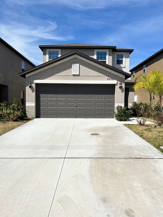 4456 Globe Thistle Dr in Tampa, FL - Building Photo