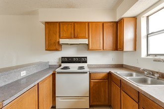 Northridge Apartments in Harlingen, TX - Building Photo - Building Photo