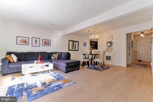 11433 Hawk Ridge Ct in Beltsville, MD - Building Photo