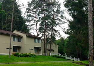 University Hill Townhomes in Wellsville, NY - Building Photo - Building Photo