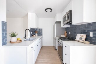 The Camellia Apartments in North Hollywood, CA - Building Photo - Building Photo