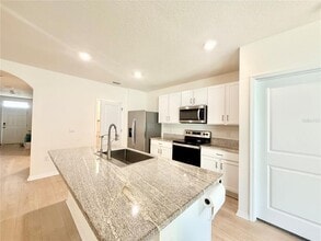 15541 Black Pepper Ln in Odessa, FL - Building Photo - Building Photo