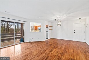 11146 Beaver Trail Ct in Reston, VA - Building Photo