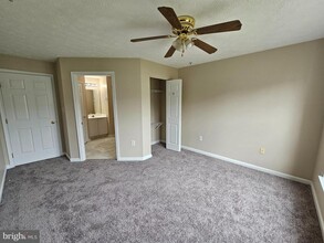 2443 Blue Spring Ct in Odenton, MD - Building Photo - Building Photo