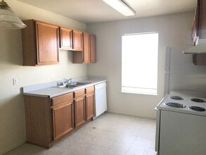 1706 Benttree Dr in Killeen, TX - Foto de edificio - Building Photo