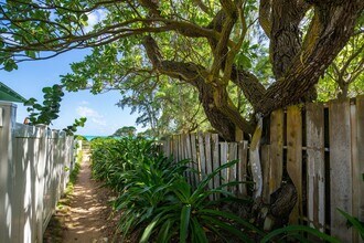 156 N Kalaheo Ave in Kailua, HI - Building Photo - Building Photo