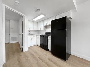 Viva Tampa in Tampa, FL - Building Photo - Building Photo