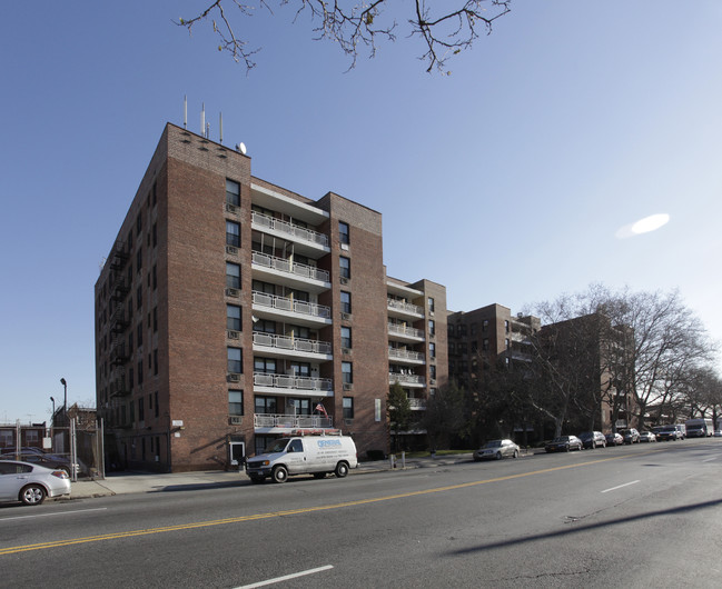 The Stanford in Brooklyn, NY - Building Photo - Building Photo