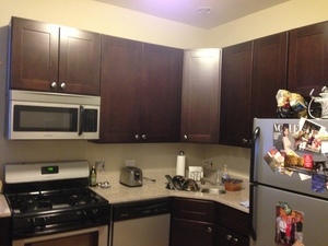 850 W Fletcher St in Chicago, IL - Building Photo