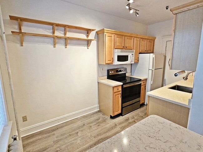 374 Chestnut Hill Ave, Unit 1 in Boston, MA - Building Photo - Building Photo