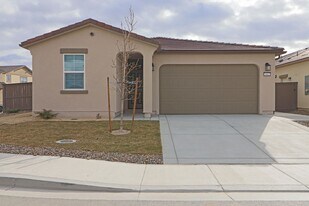 6862 Ronaldinho Dr in Sparks, NV - Building Photo