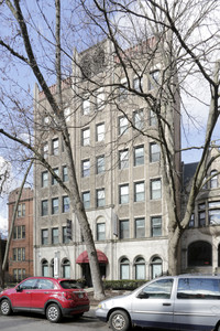 Ivy Dorchester in Chicago, IL - Foto de edificio - Building Photo