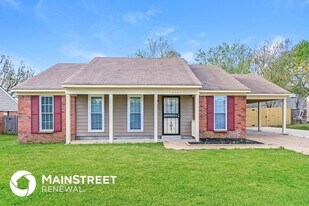 3925 Shadow Oaks Pkwy in Horn Lake, MS - Building Photo