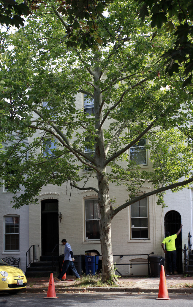 1307 Prince St in Alexandria, VA - Foto de edificio - Building Photo