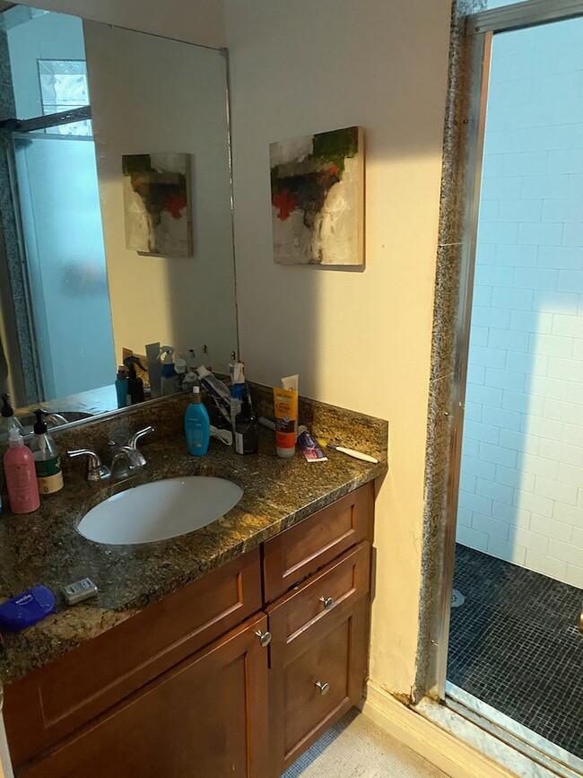 64 Louis Prang St, Unit 3 in Boston, MA - Building Photo - Building Photo