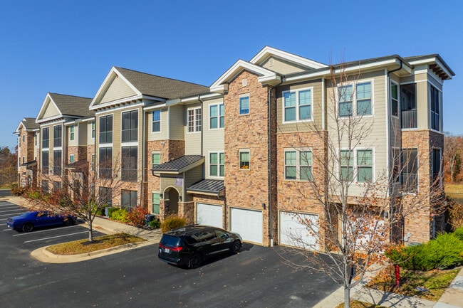 Silver Collection at Cosner's Corner in Fredericksburg, VA - Foto de edificio - Building Photo