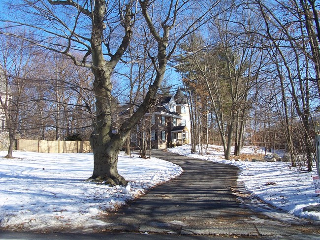 14 Maple Ave in Foxboro, MA - Foto de edificio - Building Photo