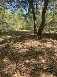 1381 Talmadge Rd in Allenhurst, GA - Building Photo - Building Photo