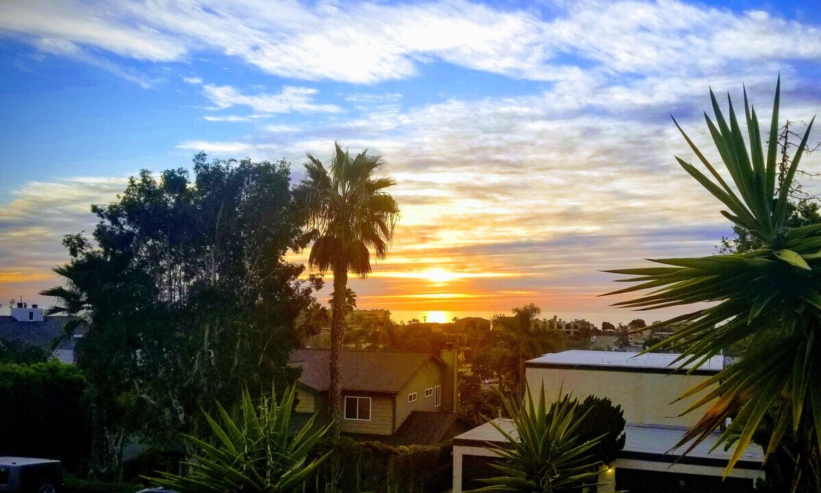835 Dewitt Ave in Encinitas, CA - Building Photo